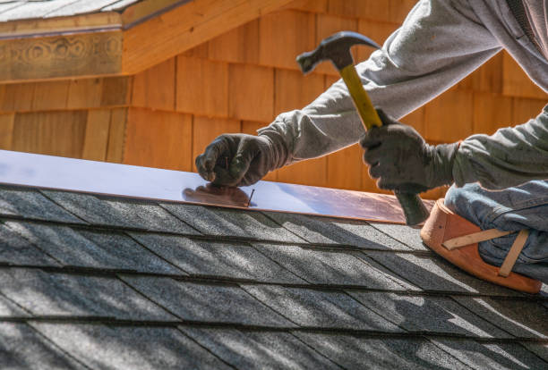 Best Skylight Installation and Repair  in Texas City, TX