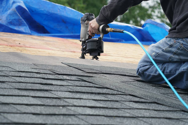 Best Storm Damage Roof Repair  in Texas City, TX
